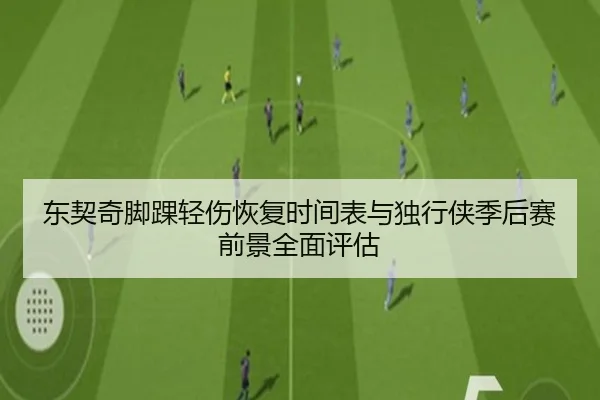 东契奇脚踝轻伤恢复时间表与独行侠季后赛前景全面评估