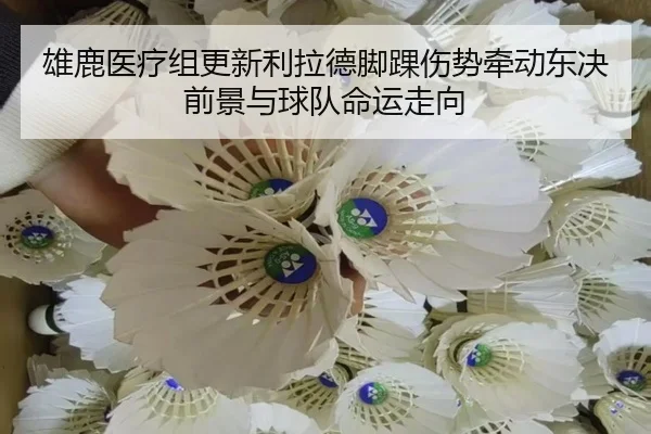 雄鹿医疗组更新利拉德脚踝伤势牵动东决前景与球队命运走向